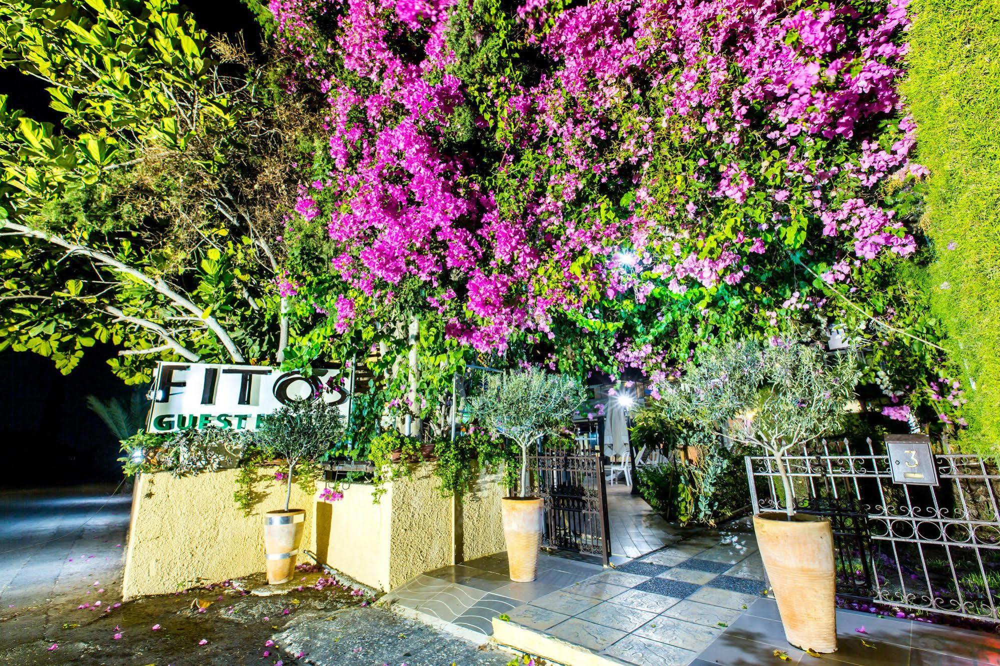 Fitosinn Hotel Geroskipou Dış mekan fotoğraf